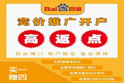 百度竞价赚钱的实战案例分析