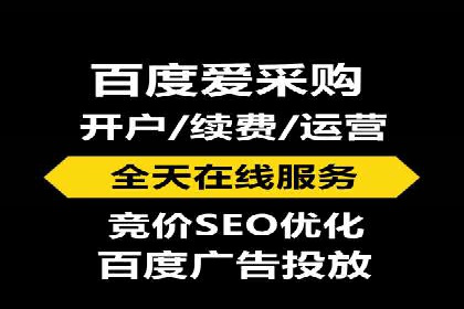 百度竞价公司成功案例：如何实现ROI最大化